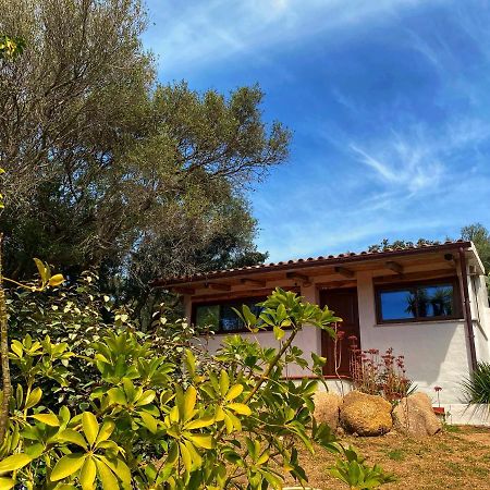 Vila Casa Saltara (Adults Only) Santa Teresa Gallura Exteriér fotografie