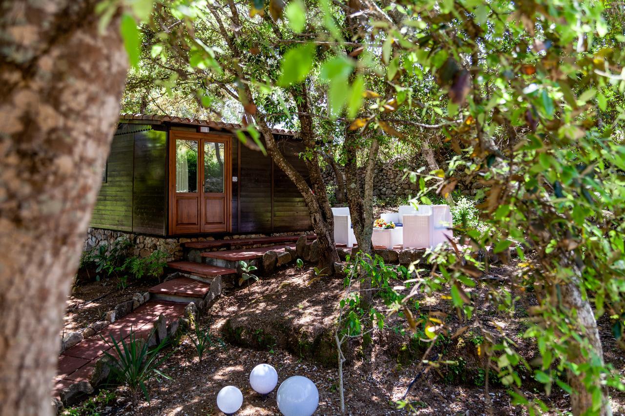 Vila Casa Saltara (Adults Only) Santa Teresa Gallura Exteriér fotografie