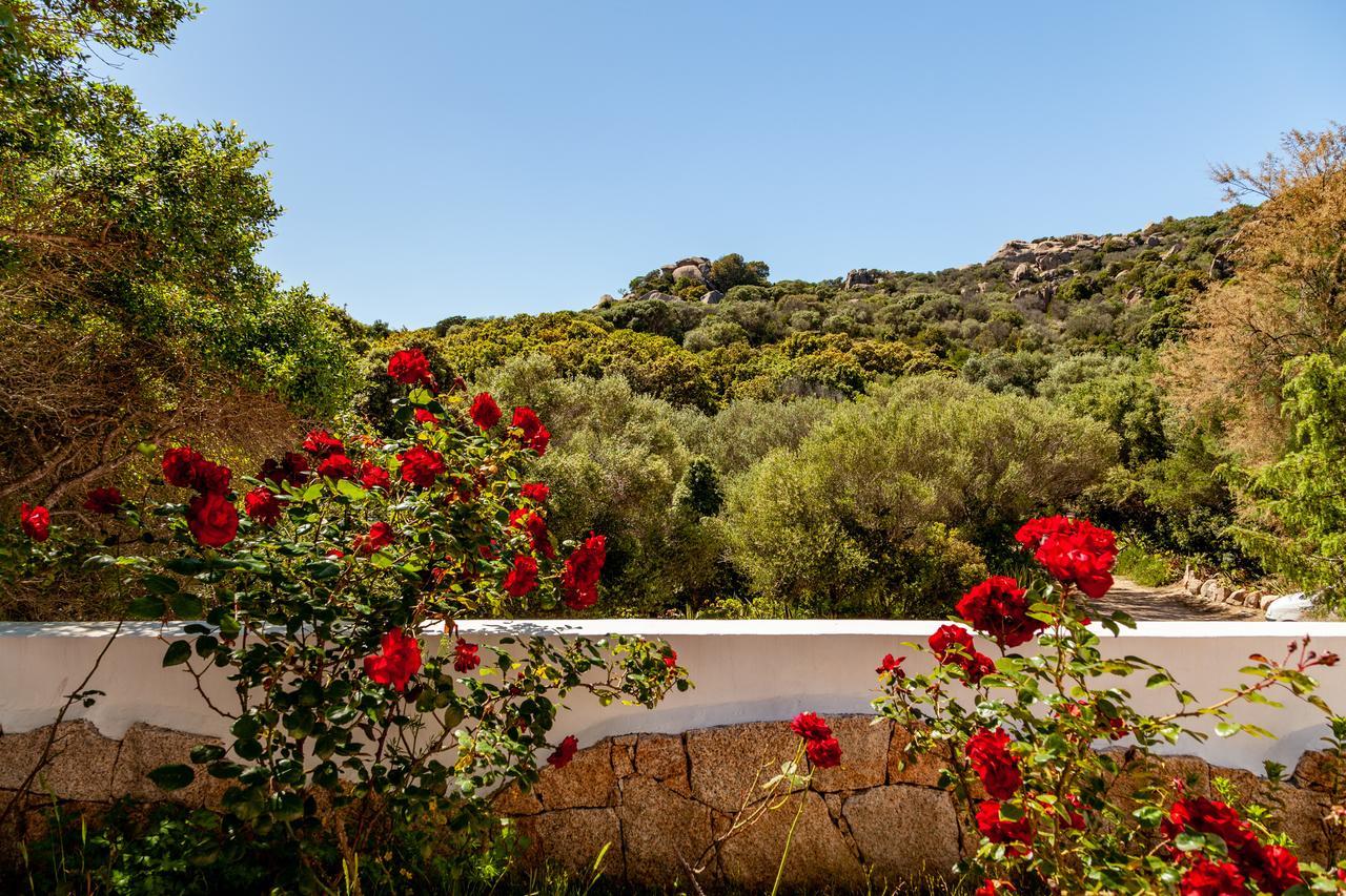 Vila Casa Saltara (Adults Only) Santa Teresa Gallura Exteriér fotografie