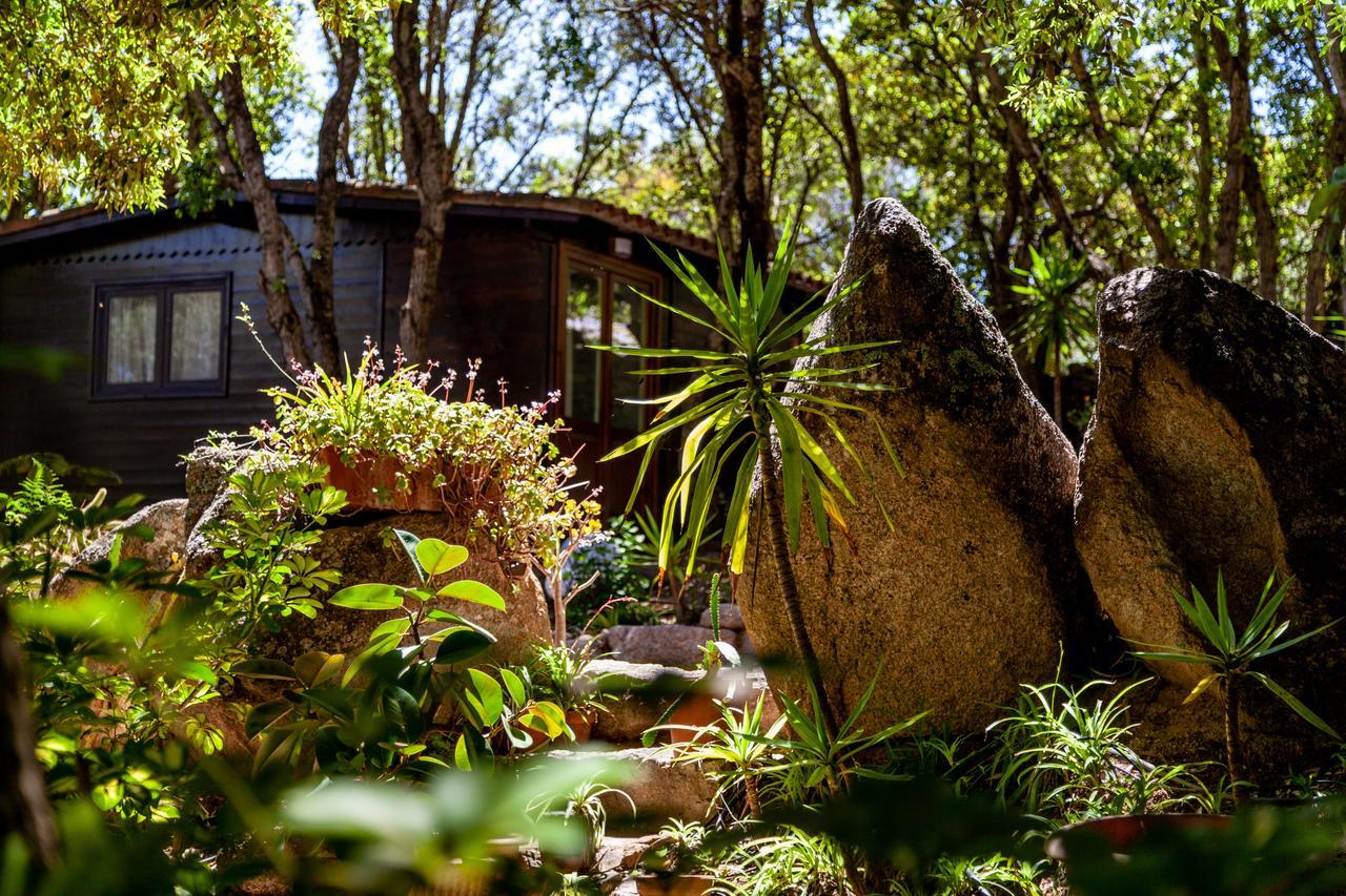 Vila Casa Saltara (Adults Only) Santa Teresa Gallura Exteriér fotografie