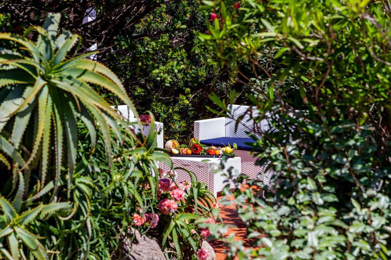 Vila Casa Saltara (Adults Only) Santa Teresa Gallura Exteriér fotografie